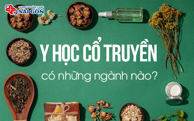 y học cổ truyền có những ngành nào