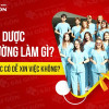 Ngành Dược ra trường làm gì và học Cao đẳng Dược có dễ xin việc không?