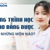 Chương trình học Cao đẳng Dược học những môn gì?