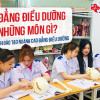 Cao đẳng Điều dưỡng học những môn gì? Chương trình đào tạo ngành Cao đẳng Điều dưỡng