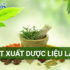 Chiết xuất dược liệu là gì? Quy trình chiết xuất chuẩn