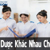 Y Và Dược Khác Nhau Chỗ Nào? Cơ Hội Việc Làm Ra Sao?