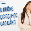 Điều dưỡng nên học Đại học hay Cao đẳng?