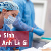 Nữ Hộ sinh tiếng anh là gì? Lợi thế khi có vốn ngoại ngữ