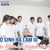 Học Hộ sinh ra làm gì? Nhu cầu về nhân lực của ngành Hộ sinh