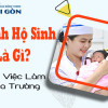 Ngành Hộ sinh là gì? Cơ hội nghề nghiệp ra sao? Học ở đâu?