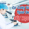 Danh sách các trường đào tạo ngành Dược xét học bạ 2025