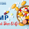 GMP trong ngành Dược là gì? Tiêu chuẩn GMP ngành Dược