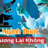 Học ngành Dược có tương lai không? Nên học Dược ở đâu