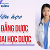 Nên học Cao đẳng Dược hay học Đại học Dược?