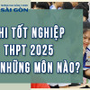 Thi tốt nghiệp THPT 2025 gồm những môn nào? Hình thức thi