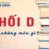 Khối D gồm những môn gì? Học lực khá nên chọn ngành nào khối D?