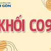 Khối C09 gồm những môn nào? Ngành nào có cơ hội việc làm cao