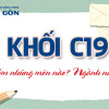 Khối C19 gồm những môn nào? Nên chọn học ngành gì?