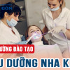 #1 Top các trường đào tạo Điều dưỡng nha khoa uy tín nhất