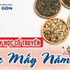 Ngành Y học cổ truyền học mấy năm? Chi tiết các hệ đào tạo