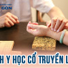 Ngành Y học cổ truyền là gì? Ưu nhược điểm của ngành