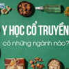 Tìm hiểu 10 chuyên ngành Y học Cổ truyền, Nên học ngành nào?
