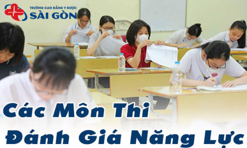 Các môn thi Đánh giá năng lực năm 2025 gồm những môn nào ?