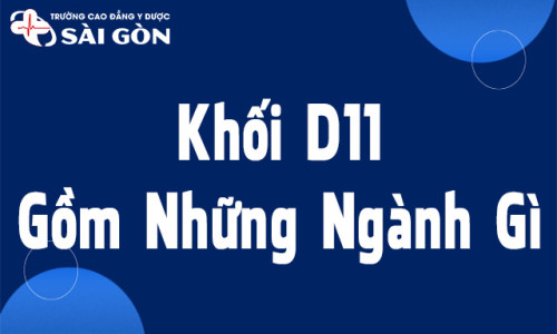Khối D11 gồm những ngành nào? Các trường xét khối D11