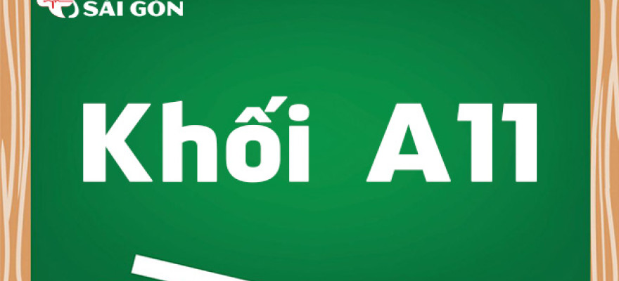Khối A11 thi môn gì, học ngành nào? Trường nào xét tuyển?