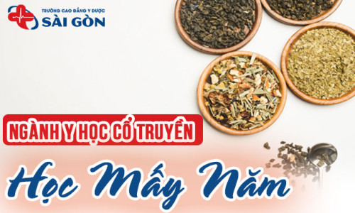 Ngành Y học cổ truyền học mấy năm? Chi tiết các hệ đào tạo