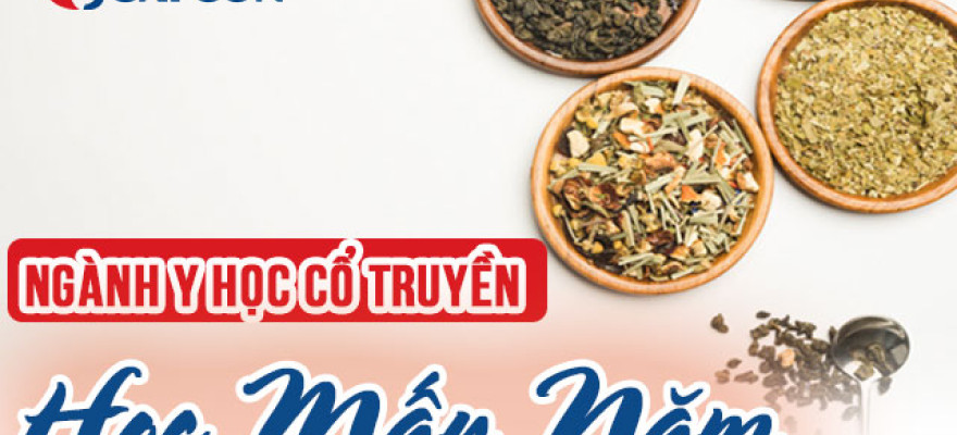 Ngành Y học cổ truyền học mấy năm? Chi tiết các hệ đào tạo
