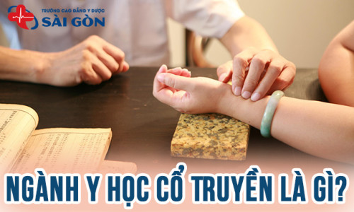 Ngành Y học cổ truyền là gì? Ưu nhược điểm của ngành