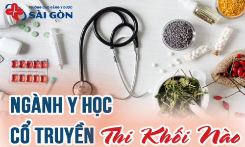 Ngành Y học cổ truyền thi khối nào? Lưu ý gì khi chọn khối?