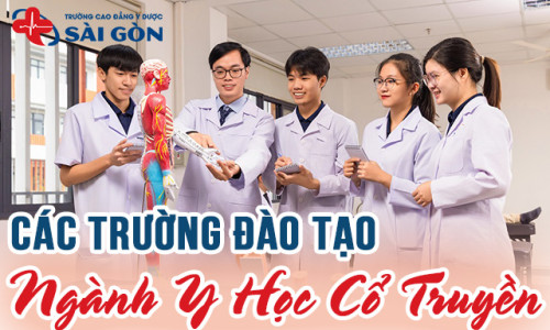 #1 Top các trường đào tạo ngành Y học cổ truyền uy tín