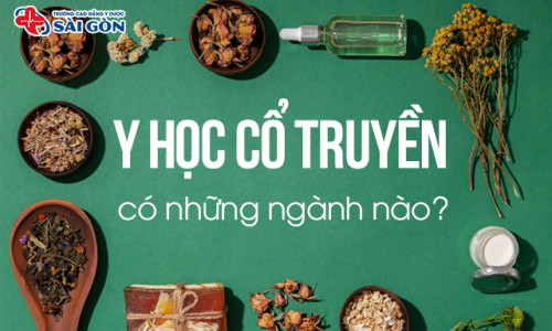 Tìm hiểu 10 chuyên ngành Y học Cổ truyền, Nên học ngành nào?