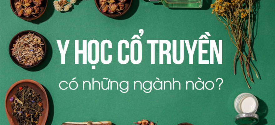 Tìm hiểu 10 chuyên ngành Y học Cổ truyền, Nên học ngành nào?