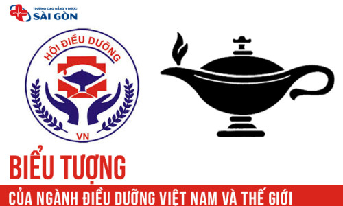 Ý nghĩa biểu tượng của ngành Điều dưỡng Việt Nam và thế giới